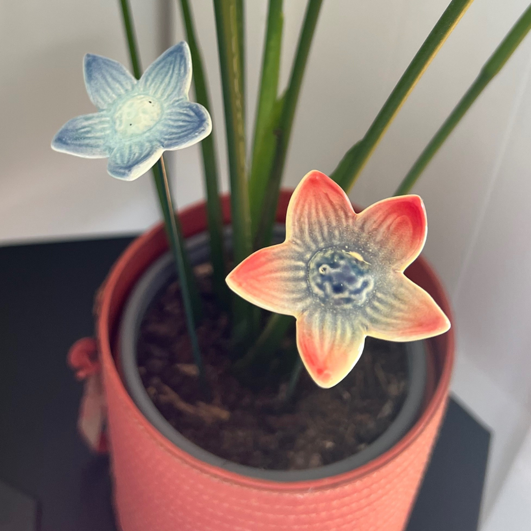 Ceramic Flowers Perth | Sympathy Gifts Peryt