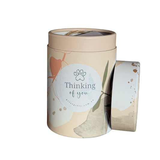 Mini Pet Loss Tube Gift Box | Grief Gifts Perth