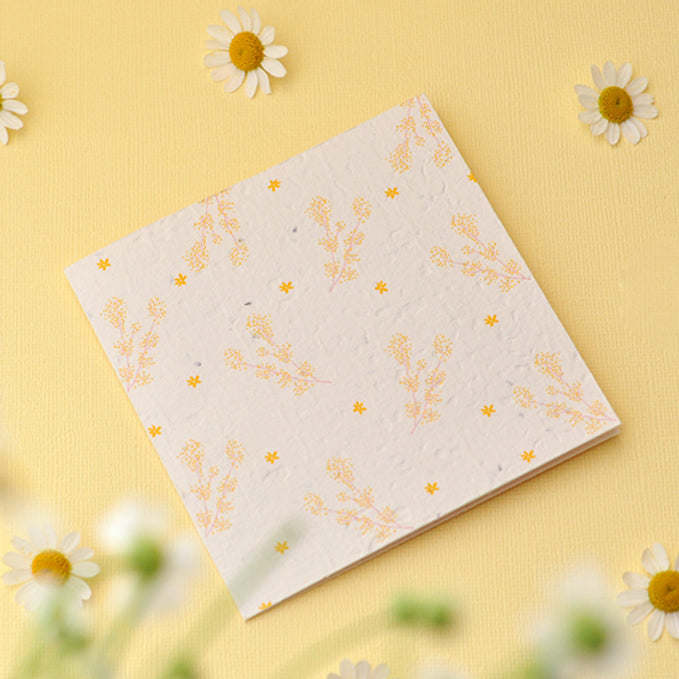 Daisee: The Perfect Plantable Greeting Card f