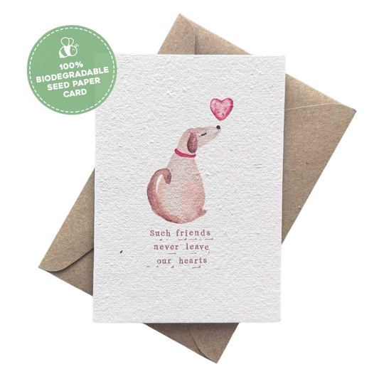 Such Friends Never Leave our Hearts - Plantable Pet Sympathy Gift Card | Grief Gifts Australia