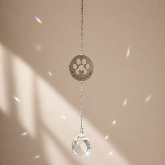 They Leave Paw Prints on Our Hearts Suncatcher | Pet Loss Gift Australia