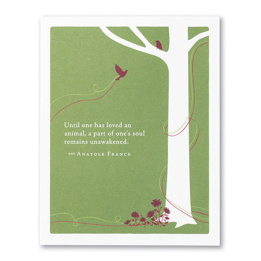 Until One Has Loved an Animal Sympathy Card