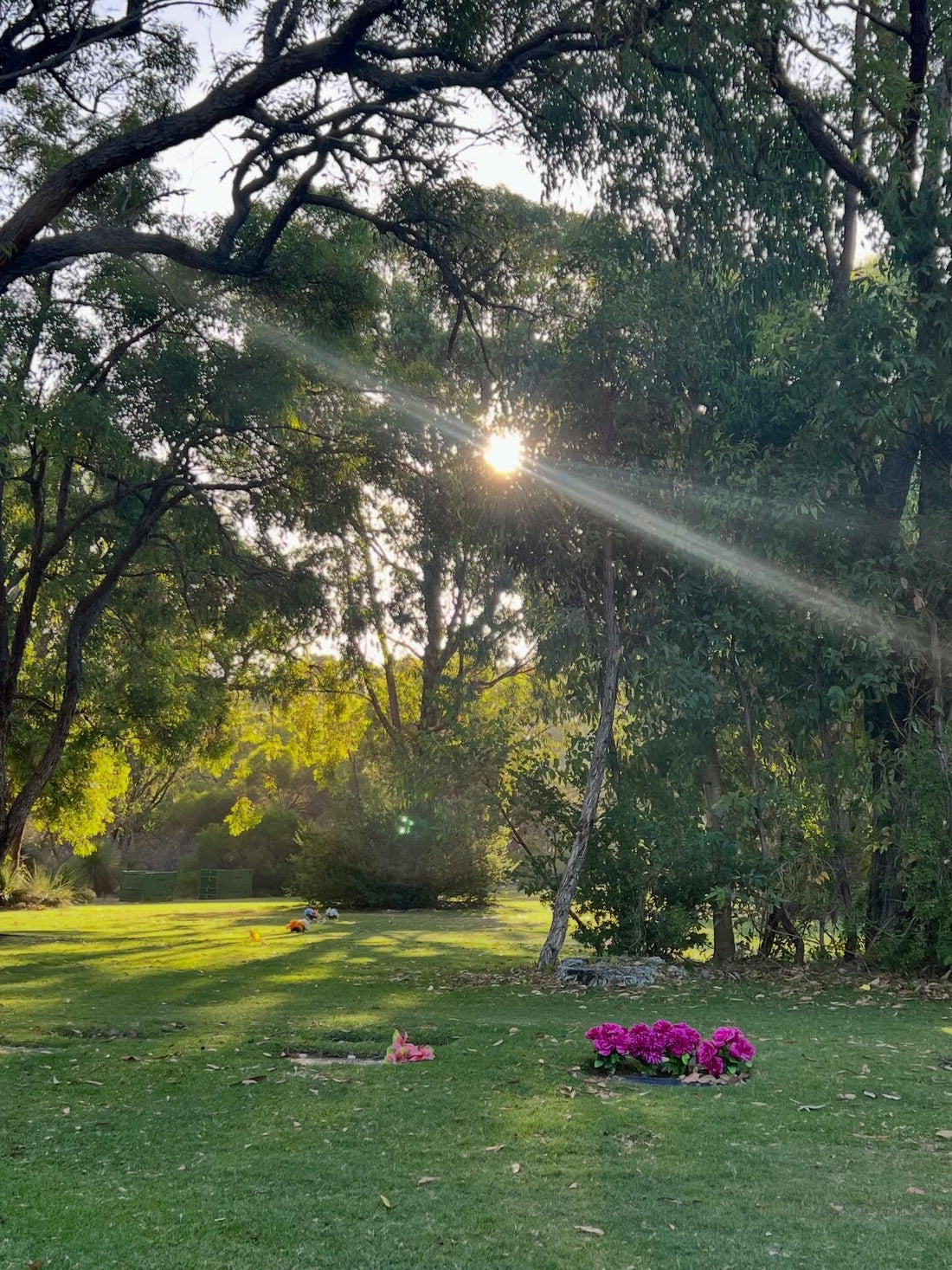Pinnaroo Memorial Valley | Grief Gifts Australia Blog | The Grief We Carry Quietly