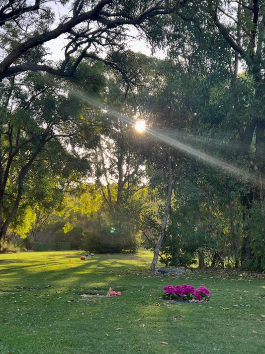 Pinnaroo Memorial Valley | Grief Gifts Australia Blog | The Grief We Carry Quietly