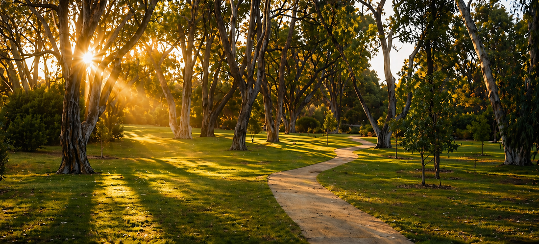 Walking Through Grief With a Friend | Grief Gifts Australia 