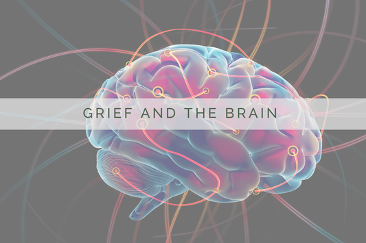 Grief and the Brain | Grief Grounded Blog