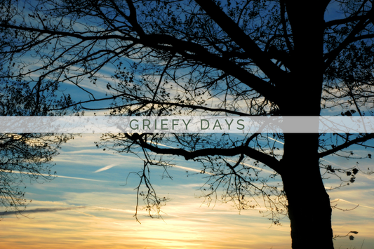 Griefy Days | Grief Gifts Perth | Grief Journey 