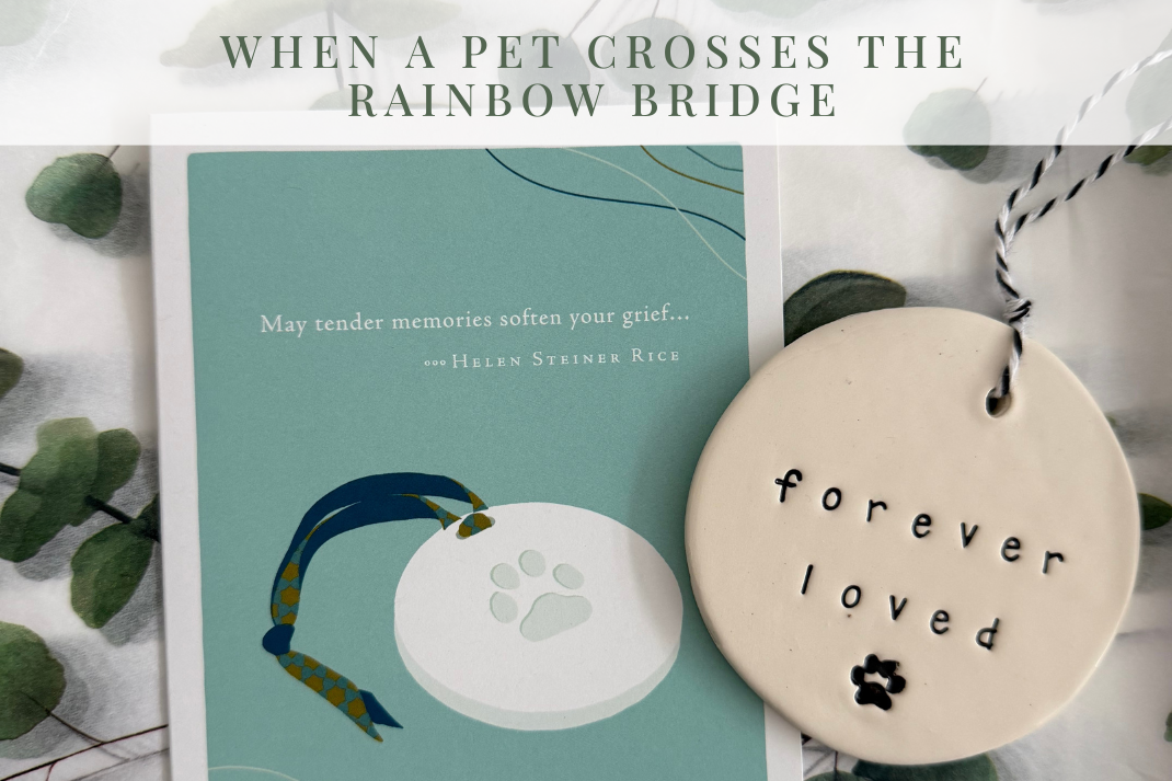 When a Pet Crosses the Rainbow Bridge | Sympathy Gifts Perth | Grief Gifts Perth 