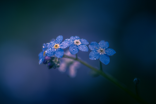 Mother’s Day, When Someone Is Missing | Grief Gifts Blog 
