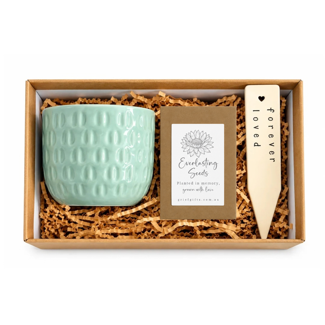 Plant in Their Memory: A Gentle Way to Remember Someone You Love