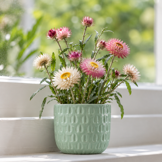 4_32d875fe-ea95-Memorial Planting Kit - Sage Green | Alternative to Sympathy Flowers | Grief Gifts