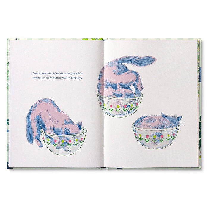 Cats Just Know Book | Sympathy Pet Loss Gift Delivered 