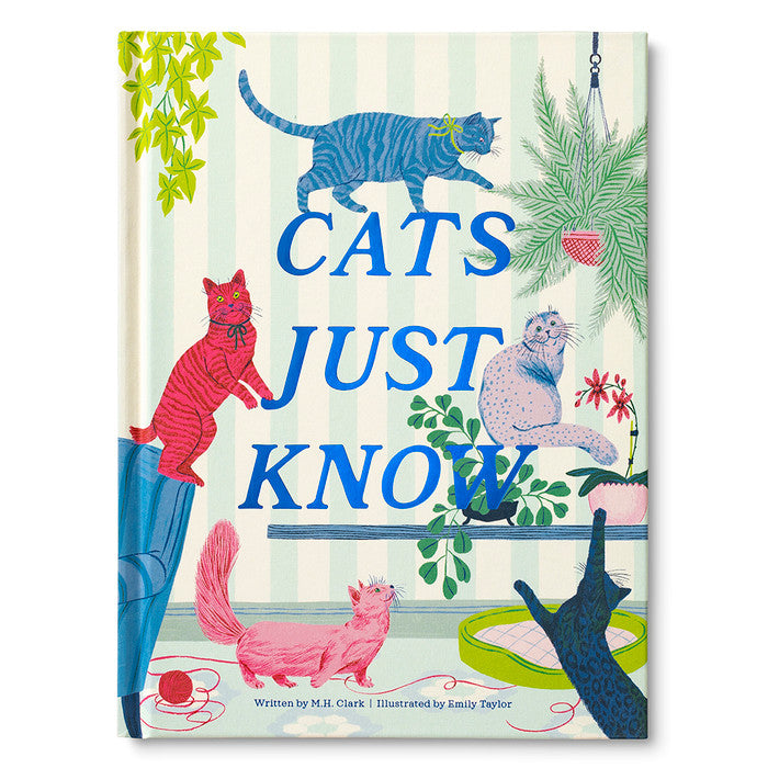 Cats Just Know Gift Book | Sympathy Pet Loss Gift Delivered 