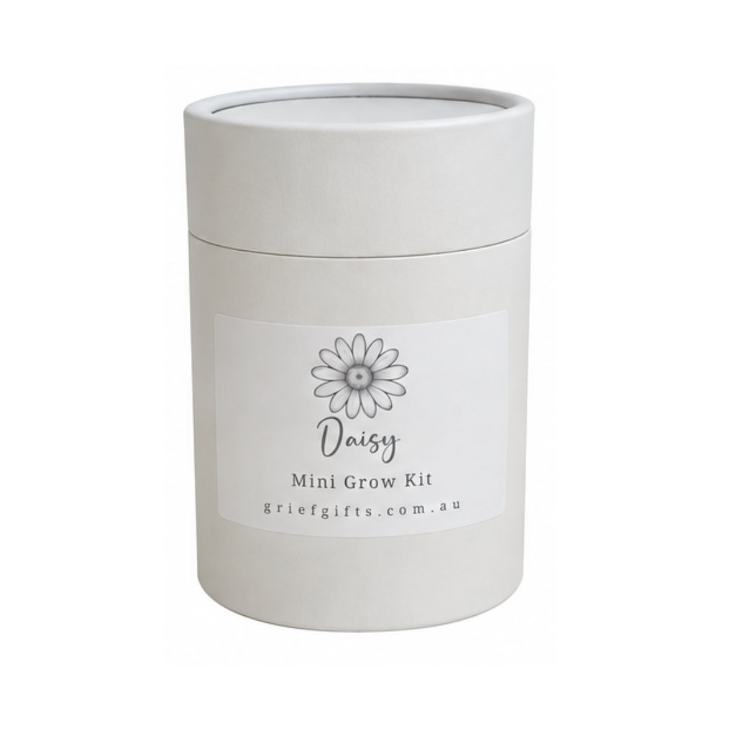 Daisy Mini Grow Kit | Grief Gifts 