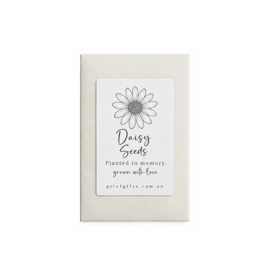 Daisy Seeds White | Memorial Seeds | Grief Gifts 
