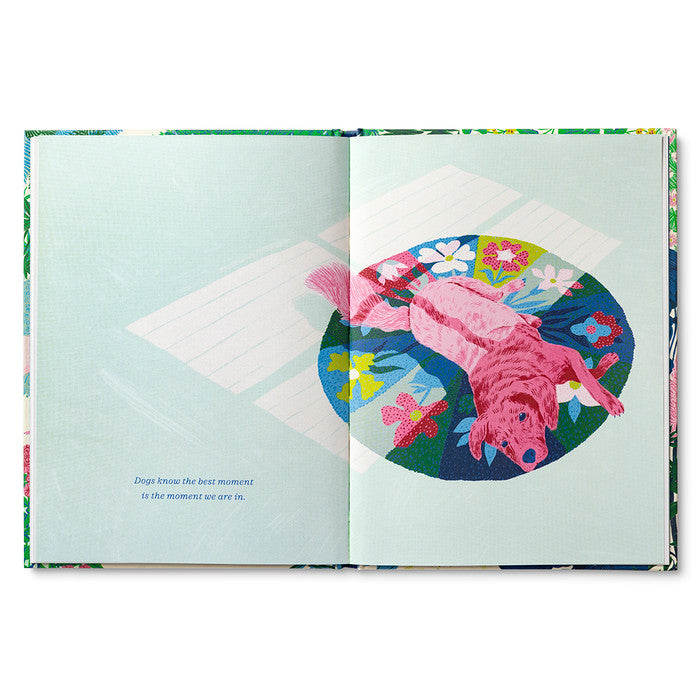 Dogs Just Know Sympathy Gift Book | Alternative to Sympathy Flowers