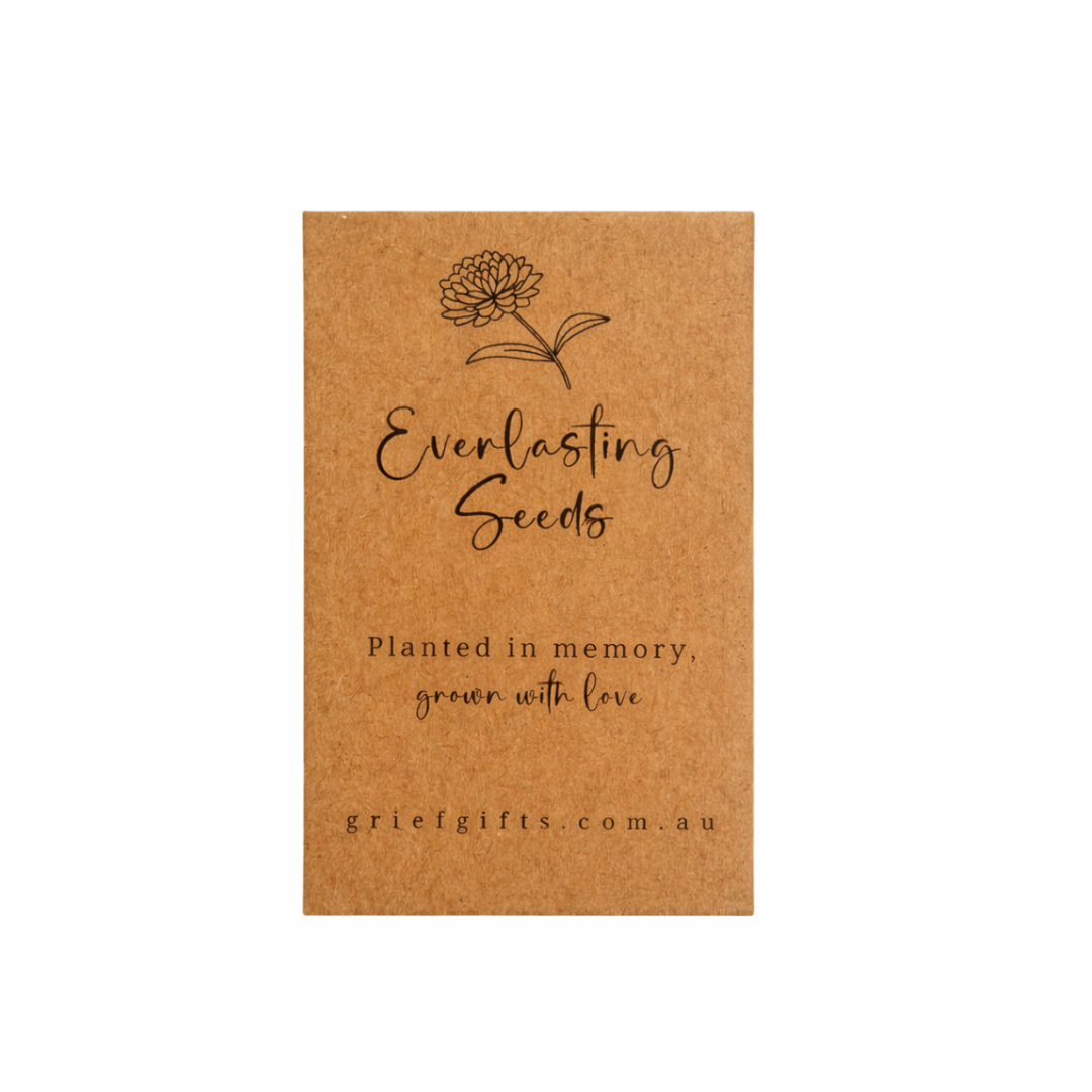 Everlasting Daisy Seeds  | Grief Gifts Australia