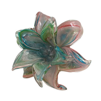 Everlasting Double Flower - Soft Pink, Turquoise, Blue & Green | Sympathy Gift Perth 