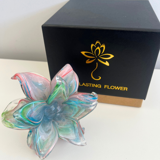 Everlasting Double Flower - Soft Pink, Turquoise, Blue & Green | Sympathy Gift Perth  Australia