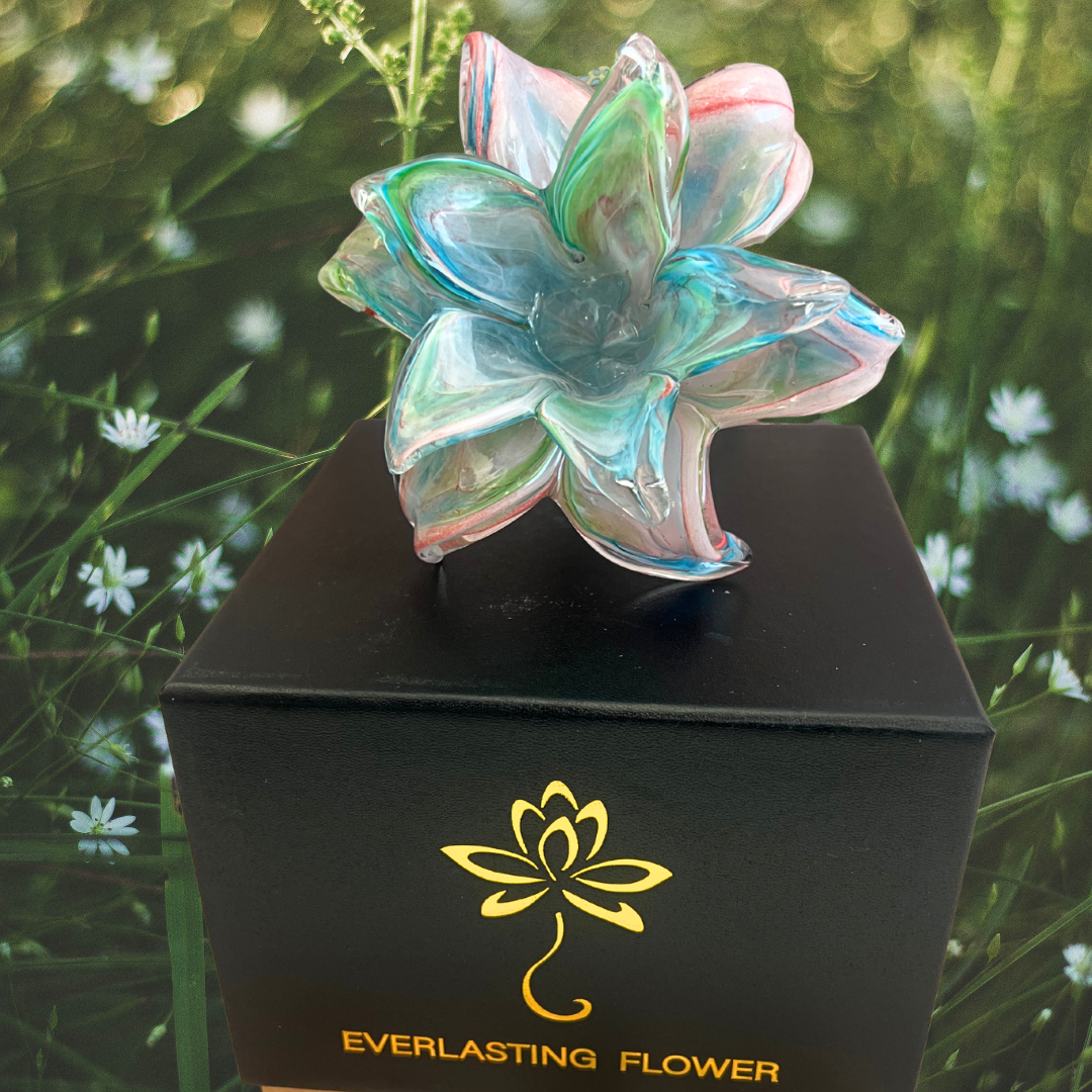 Everlasting Double Flower - Soft Pink, Turquoise, Blue & Green | Sympathy Gift Perth  Australia | Alternative to Sympathy Flowers 