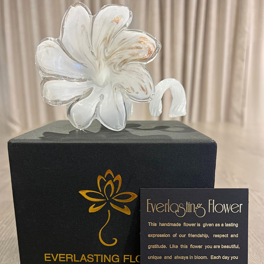 Everlasting Flower - White and Gold | Grief Gift | Sympathy Gift Australia