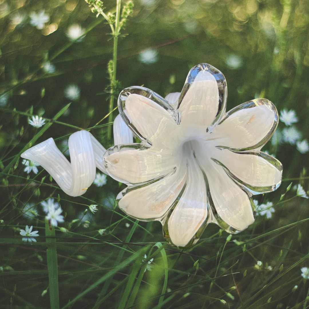 Everlasting Flower - White and Gold | Grief Gift | Sympathy Gifts Perth Australia 