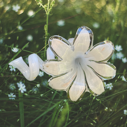 Everlasting Flower - White and Gold | Grief Gift | Sympathy Gifts Perth Australia 