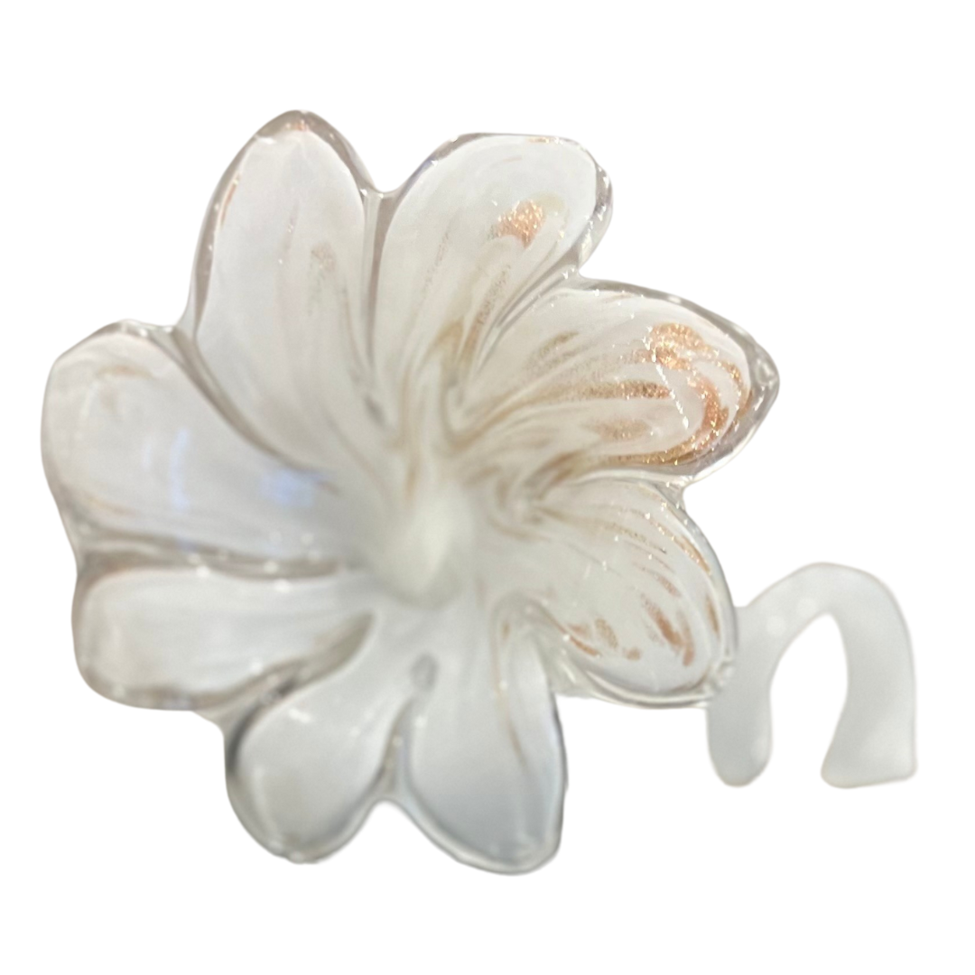 Everlasting Flower White | Sympathy Gift | Alternative to Sympathy Flowers Australia