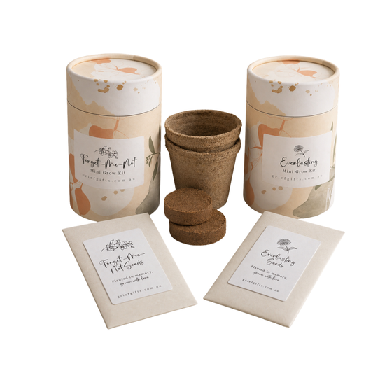 Everlasting Mini Grow Kit | Alternative to Sympathy Flowers 