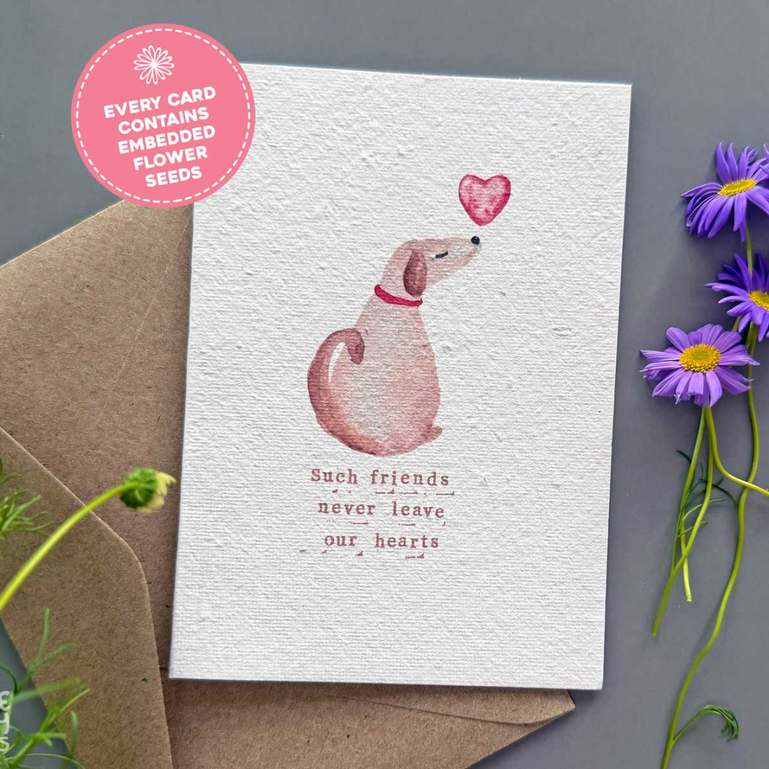 However Long They’re Here - Plantable Dog Sympathy Gift Card | Dog Loss Card