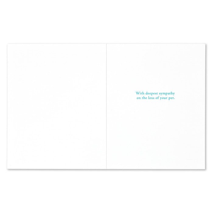 May Tender Memories Soften Your Grief - Pet Sympathy Card  Grief Gifts Australia Pet Sympathy 