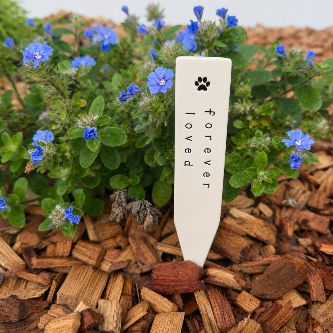 Memorial Garden Grow Kit - Pet Loss | Grief Gifts Australia Delivered  | Pet Memorial Gift