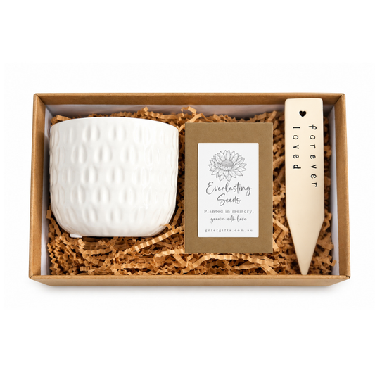 Memorial Planting Kit with Everlasting Seeds White | Alternative to Sympathy Flowers