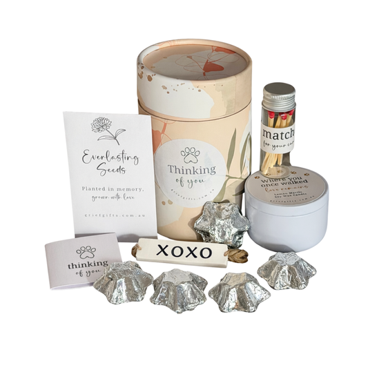 Mini Pet Loss Sympathy Memorial Gift Box | Grief Gifts Australia