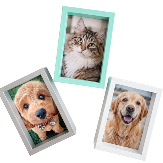 Mini Pet Memorial Photo Frame with Printed Photo | Grief Gifts 