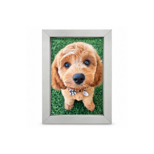 Mini Pet Memorial Photo Frame with Printed Photo | Grief Gifts  Australia 