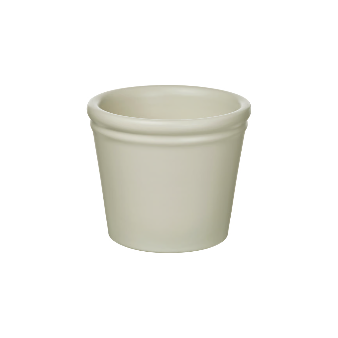 Mini Pot Plant | Sympathy Gifts Perth 