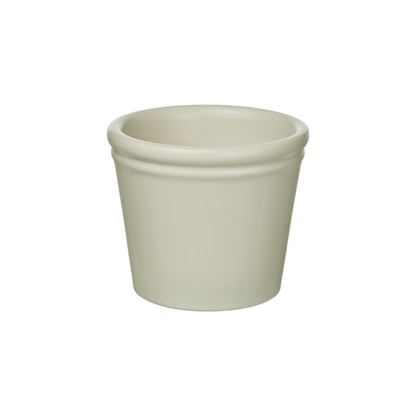 Mini Pot Plant | Sympathy Gifts Perth 