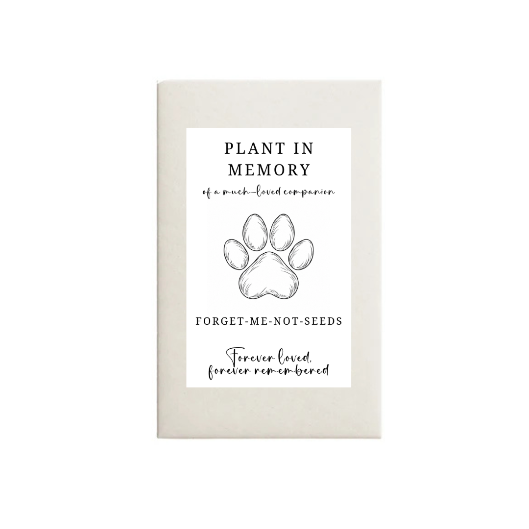 Pet Loss Forget-Me-Not Seeds- White | Grief Gifts | Plant in Their Memory 