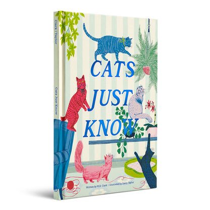 Pet Loss Sympathy Gift Australia | Cat Loss Gift 