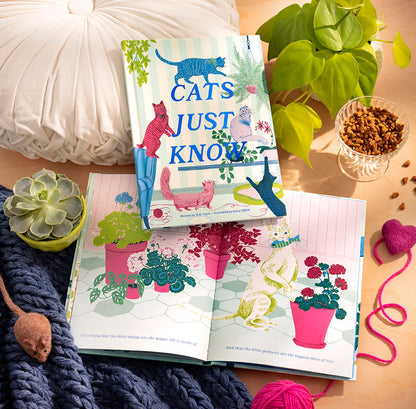 Pet Loss Sympathy Gift Australia | Cat Loss Gift  Australia