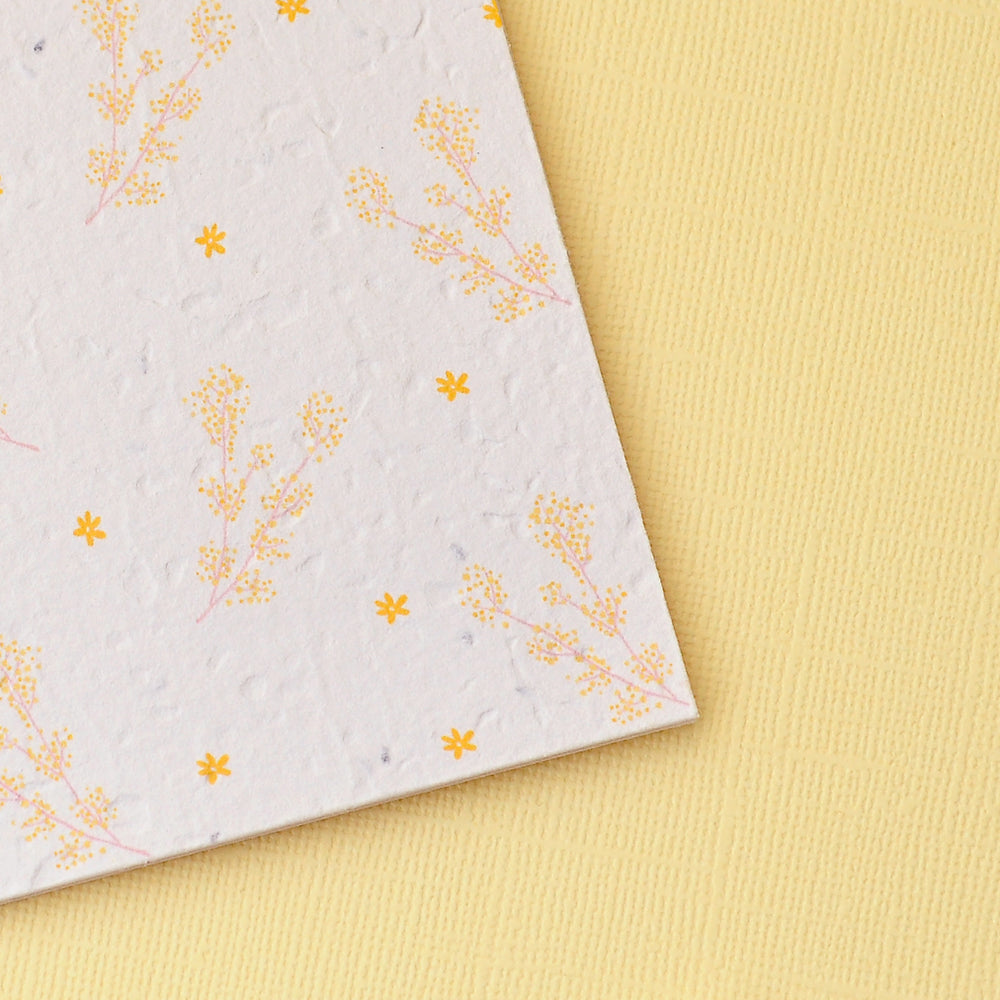 Daisee: The Perfect Plantable Greeting Card f