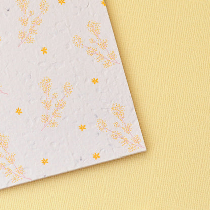 Daisee: The Perfect Plantable Greeting Card f