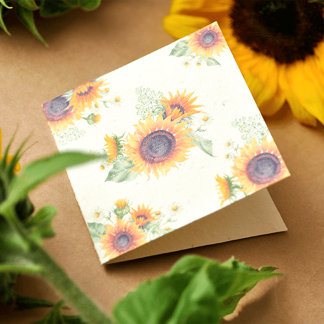 Plantable Gift Card - Sunflower | Grief Gifts Perth