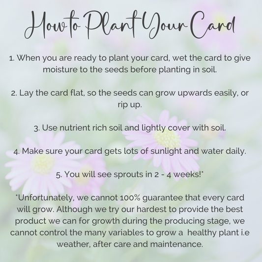 Plantable Gift Card Instructions | Grief Gifts Perth