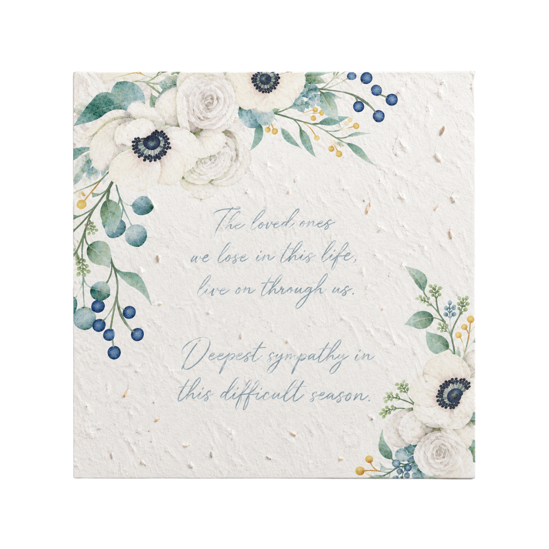 Plantable Sympathy Card | Swan River Daisies | Grief Gifts 