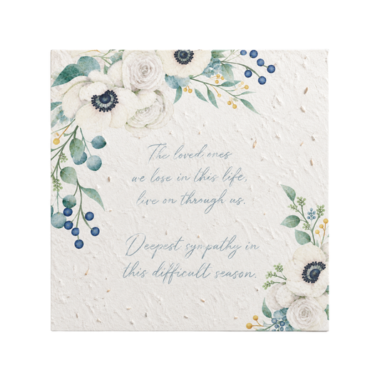 Plantable Sympathy Card | Swan River Daisies | Grief Gifts 