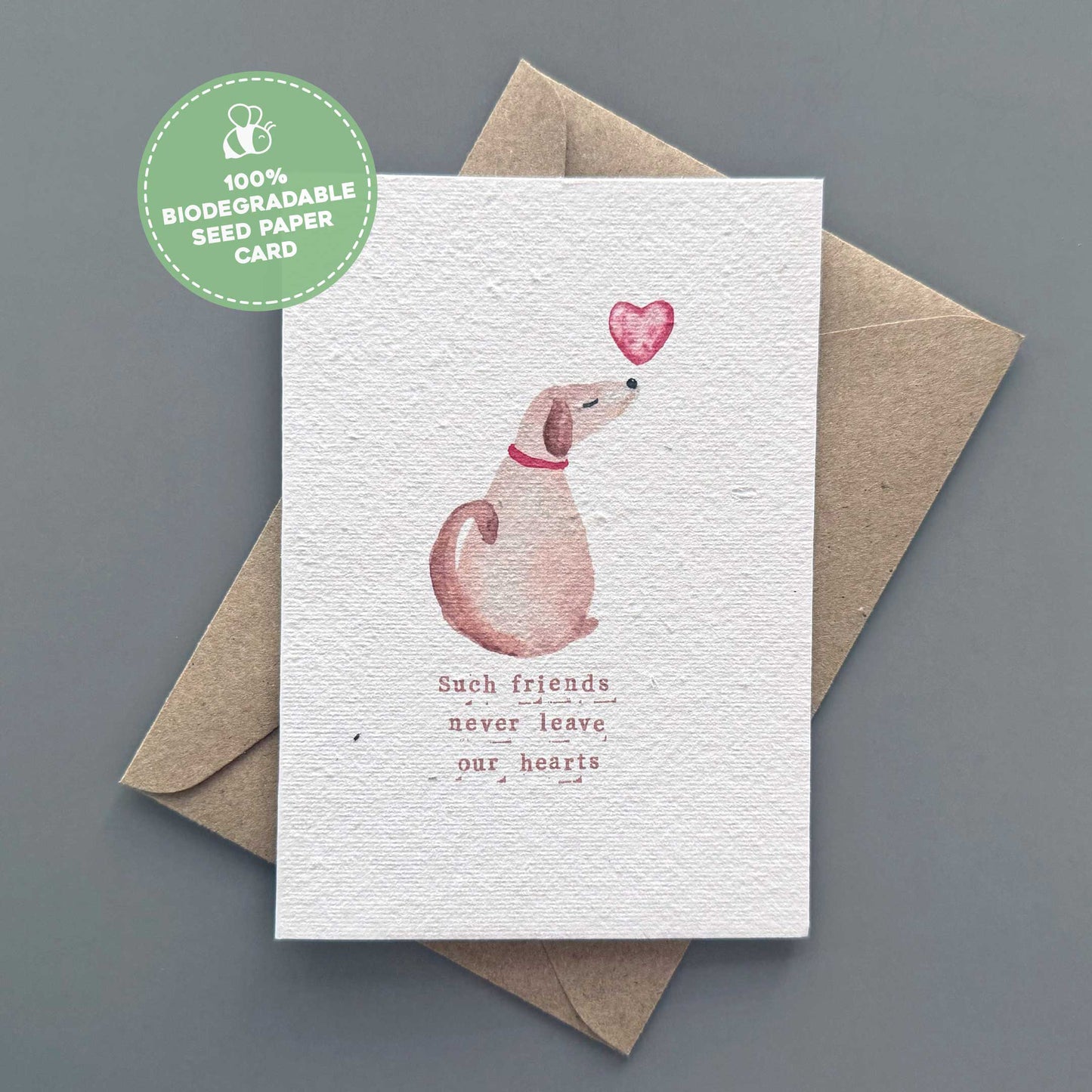 Such Friends Never Leave our Hearts - Plantable Dog Sympathy Gift Card | Grief Gifts Australia 