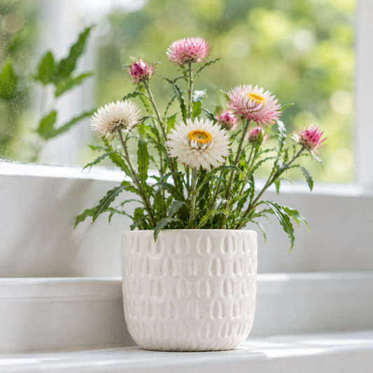 Memorial Planting Kit - White
