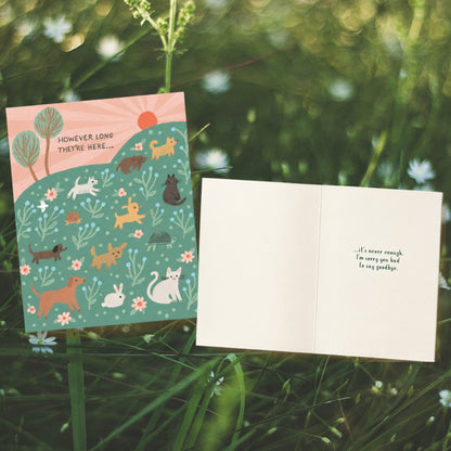 Gentle Moments Pet Loss Sympathy Gift Box